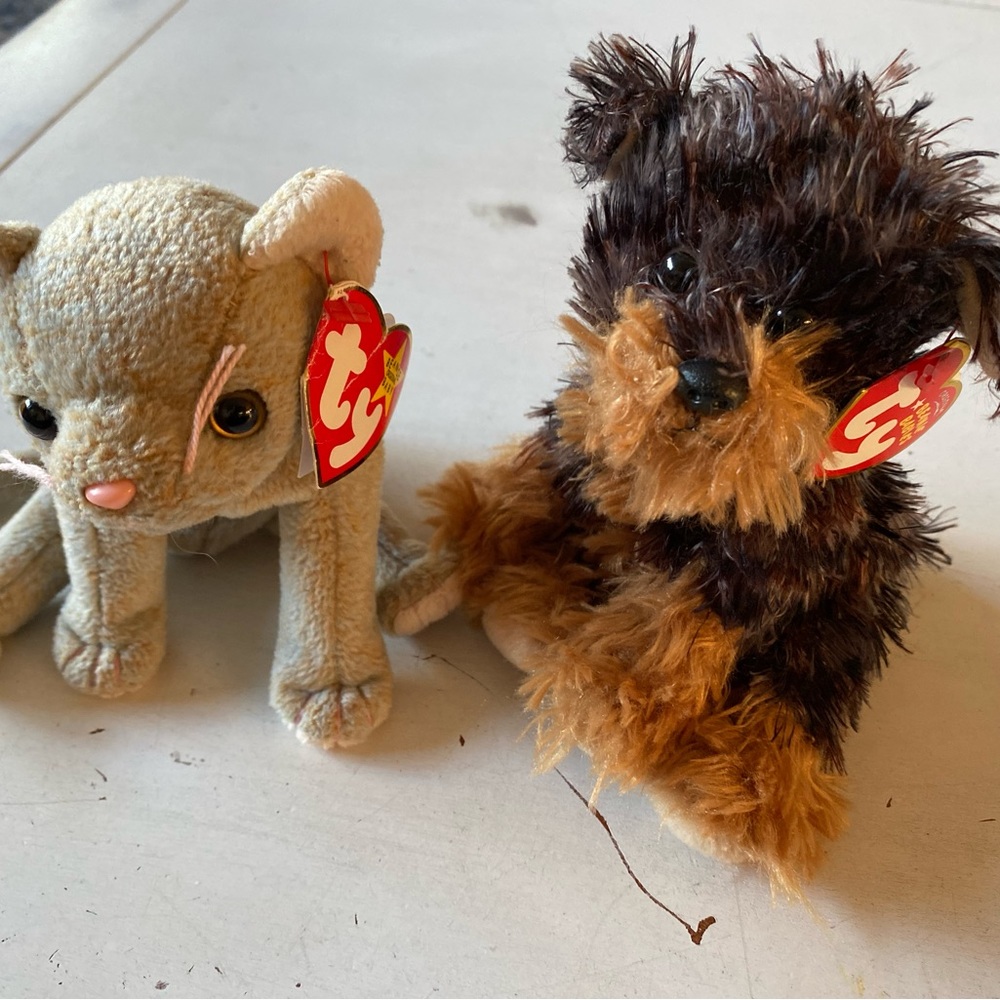 Ty beanie babies cat and dog friends. Tyger and Scat